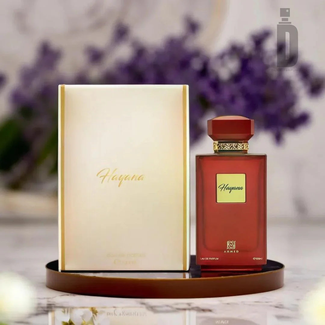 Hayana by Ahmed Al Maghribi - Image 3